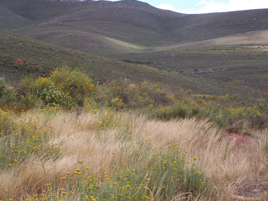 Commercial Property for Sale in Montagu Rural Western Cape